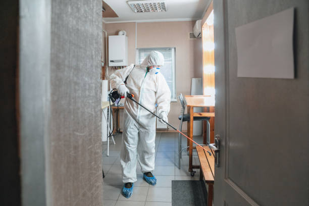 Best Environmental Consulting for Mold Prevention  in White Hall, WV